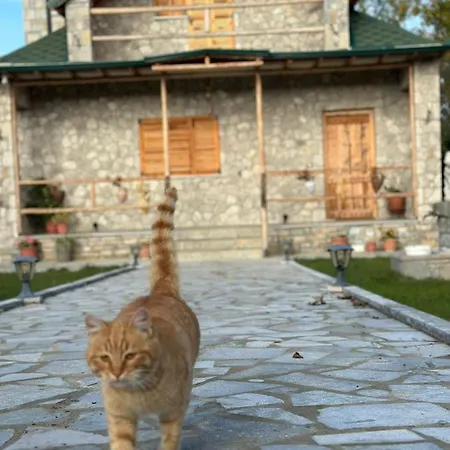 Villa The Village House *